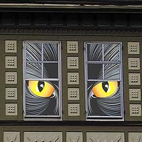 TRANSLUCENT WINDOW POSTERS