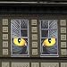 WINDOW POSTER CAT EYES