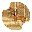 Whitetail Deer Carsters 2 Pack, Coasters For Your Car