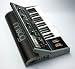 Moog Little Phatty (Stage II) (Analog Monosynth, Stage II Ed)