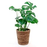 ���i�̏ڍ�