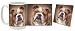 English Bulldog Mug & Coaster Gift Box Combo - Dog/Puppy/Canine Edition Beverage Drinkware