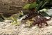 Dinosauria- Dinosaur Toys from Wild Republic Box Set 2_s-1