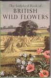 The Ladybird Book of British Wild Flowers - Series 536, a Ladybird Nature Book (Wills & Hepworth)