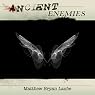 Ancient Enemies: The Ancient, Book 2