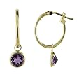 FOJO's 14K Gold Amethyst Drop Hoop Earrings
