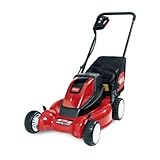 Toro 20360 e-Cycler 20-Inch 36-Volt Cordless Electric Bagging/Mulching Lawn Mower