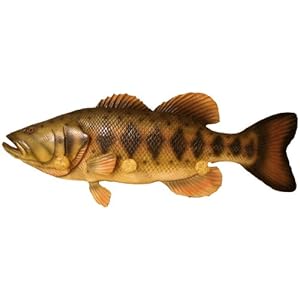 Wildlife Creations 22" Bass Coat Rack