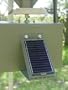 Boss Buck Inc. Non - Typical 12V Solar Panel Box Mount
