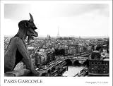 P. R. Ulrich (Paris Gargoyle) Art Poster Print - 16x20