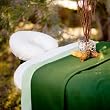 Forest Glade Theme Massage Table Sheet Set with Blanket