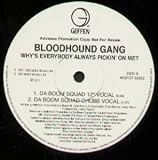 WHY`S EVERYBODY ALWAYS PICKIN` ON ME 12" SINGLE UK GEFFEN 1997 4 TRACK DA BOOM SQUAD 12" VOCAL MIX PRO B/W DA BOOM SQUAD CHUBB VOCAL MIX, DA BOOM SQUAD 12" DUB AND DA BOOM SQUAD CHUBB DUB (WGFST22252)