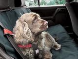 Car Seat Cover Grey
