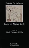 Poeta en Nueva York (Palabra e imagen)