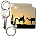 Kike Calvo Desert - Desert Camels are a way of transportation,and are also used for racing at Dubai Camel Racecourse - Key Chains