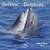 Produkt-Bild: Delfine 2011. Trends & Classics Kalender