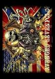Avenged Sevenfold Confederate Cloth Fabric Poster Flag