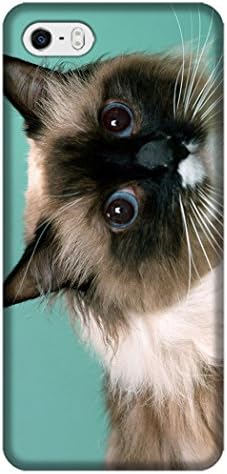 A Lucky Girl The Concentrate Cute Cat Cell Phone Case For Iphone 5