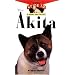 The Akita (Owner's Guide to a Happy, Healthy Pet)