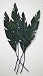 Palm Tree Tropical Floral Wall Art Indoor Outdoor Hanging