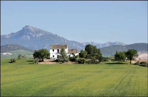 Cover image : Andalucia 2009.
