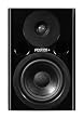 FOSTEX �v���t�F�b�V���i���E�X�^�W�I�E���j�^�[ PM0.4