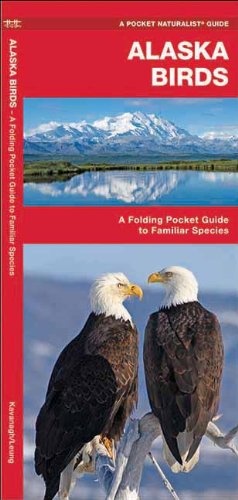 Alaska Birds: A Folding Pocket Guide to Familiar Species (Pocket Naturalist Guide Series)