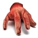 Custom Halloween Haunted House Yard Prop Blood Body Severed Human Male Hand Ring Finger Choppered