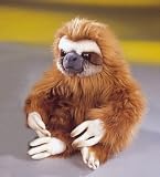 Sloth 14" by Leosco