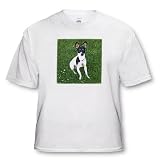 Dogs Fox Terrier - Toy Fox Terrier 1 - T-Shirts