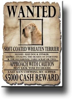 Wheaten Terrier Wanted Fridge Magnet