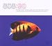 808-State-808:90 Remastered with archive material (2CD) cd cover