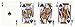 Let's Play 25 Card Games