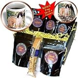 Dogs Afghan - Afghan Hound - Coffee Gift Baskets - Coffee Gift Basket