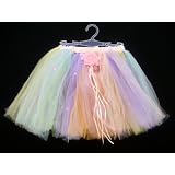 Fairy Princess Ballet Tutu Pastel Rainbow Colors with Butterfly Cut Rhinestones and Organza Rose
