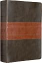 ESV Study Bible (TruTone, Forest/Tan, Trail Design)
