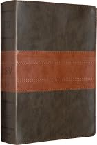 ESV Study Bible (TruTone, Forest/Tan, Trail Design)