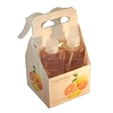 Enchante Accessories Grapefruit & Ginger Cleaning Kit