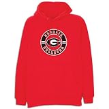 Georgia Team Edition Men's Medal Logo Hoody