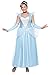 California Costumes Women's Plus-Size Classic Cinderella Long Dress Gown
