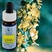 Healing Herbs Agrimony