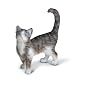 Schleich Cat Standing