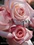 Modern Roses 12