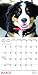2017 Puppies Mini Calendar
