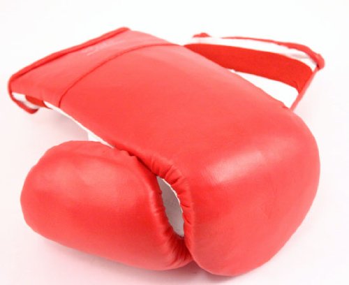 New Pair Red Training Gloves Boxing Kickboxing Punching