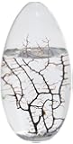 EcoSphere Closed Aquatic Ecosystem, Large Pod