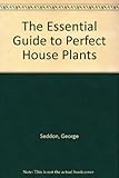 The essential guide to perfect houseplants