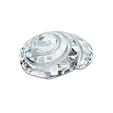 S880693: SWAROVSKI CRYSTAL COMMUNITY TOP SHELL 2007 MEMBERSHIP