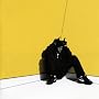 Boy In Da Corner [Explicit]