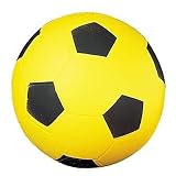 Coated Foam Sport Ball for Indoor/Outdoor Use, Soccer Ball - SFC / CSISFC